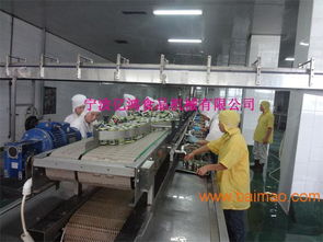億鴻食品機械 以卓越品質(zhì)與智能技術(shù)，引領魚罐頭瀝水機新標準