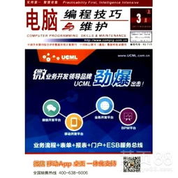 計算機編程技巧維護與職稱晉升 從技術深耕到成果展示